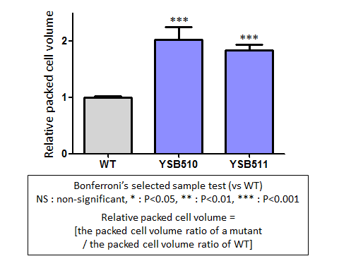 Capsule phenotype for CNAG_04878T0