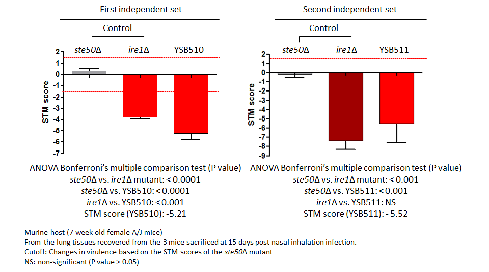STM murine host model data for CNAG_04878T0