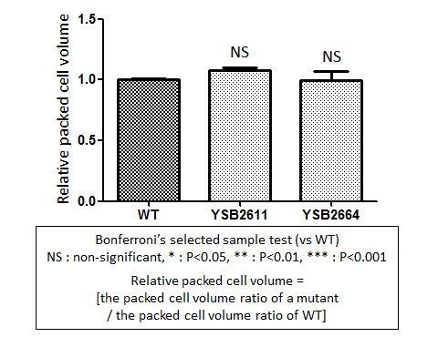 Capsule phenotype for CNAG_04895T0