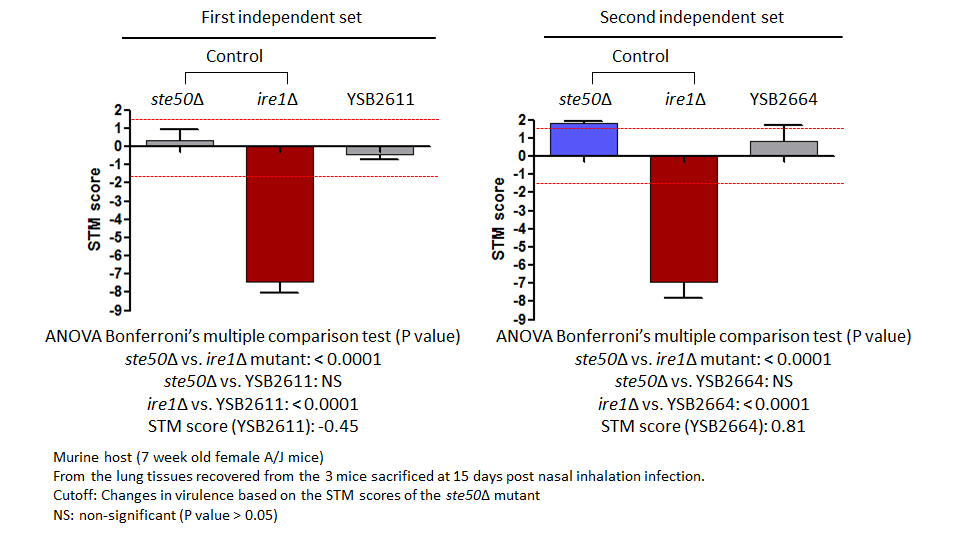 STM murine host model data for CNAG_04895T0