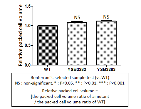 Capsule phenotype for CNAG_04908T1