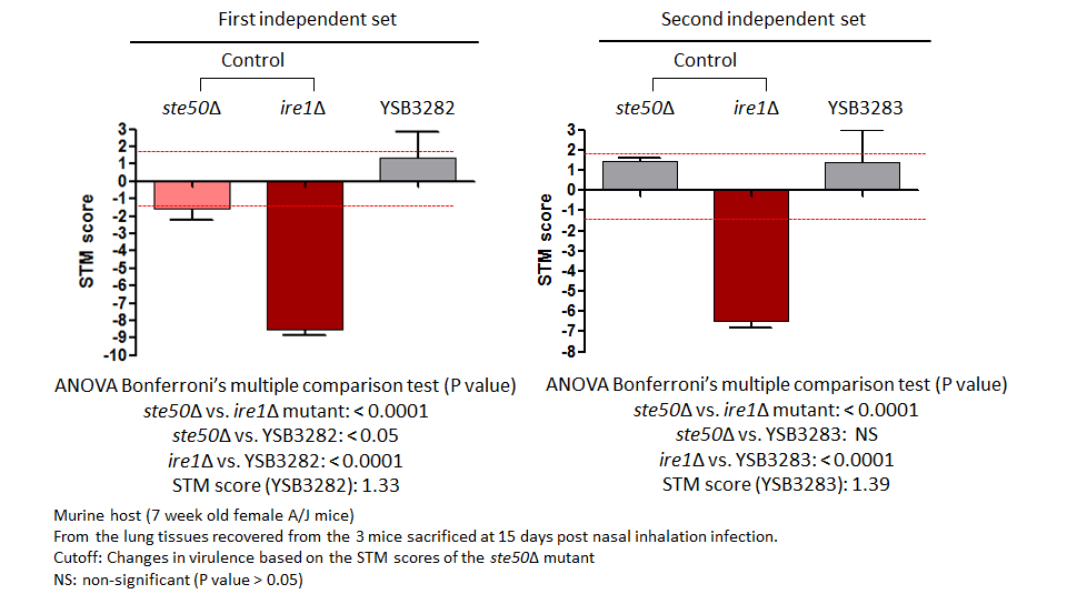 STM murine host model data for CNAG_04908T1