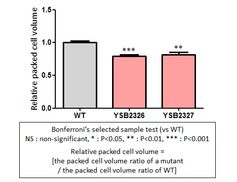 Capsule phenotype for CNAG_04916T0