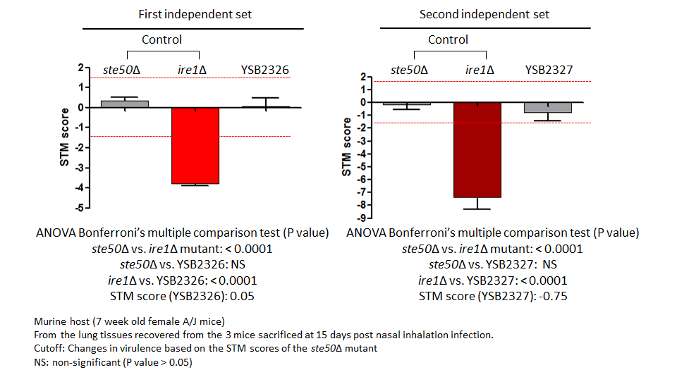 STM murine host model data for CNAG_04916T0