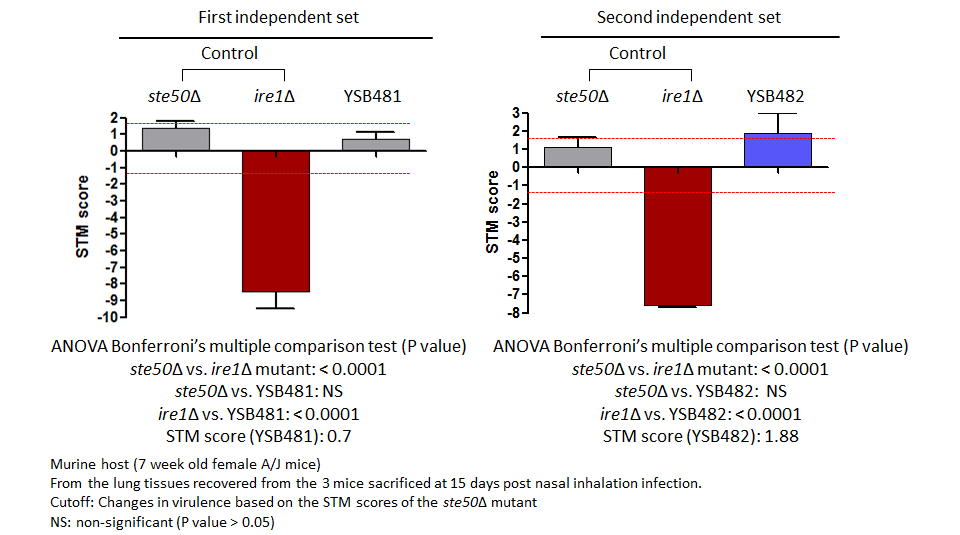 STM murine host model data for CNAG_05010T0