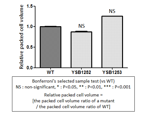 Capsule phenotype for CNAG_05019T0