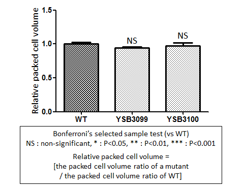 Capsule phenotype for CNAG_05049T0