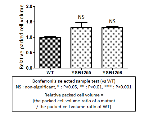 Capsule phenotype for CNAG_05093T0