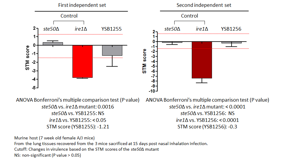 STM murine host model data for CNAG_05093T0