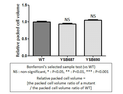 Capsule phenotype for CNAG_05112T0