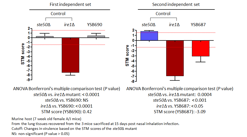 STM murine host model data for CNAG_05112T0