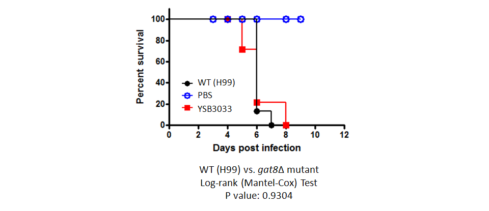 Galleria mellonella virulence data for CNAG_05153T0