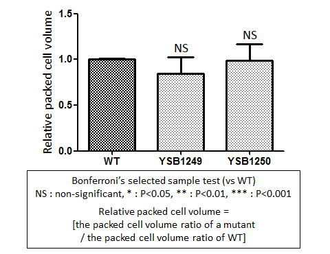 Capsule phenotype for CNAG_05170T0
