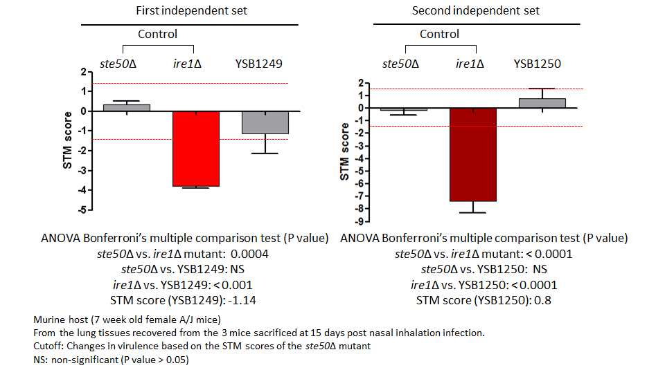 STM murine host model data for CNAG_05170T0