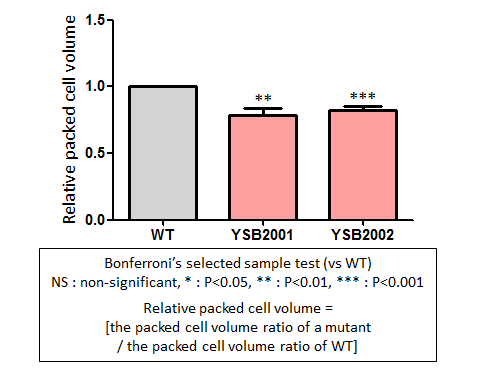 Capsule phenotype for CNAG_05176T0