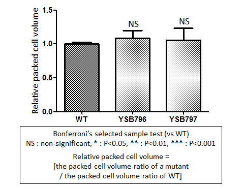 Capsule phenotype for CNAG_05186T0
