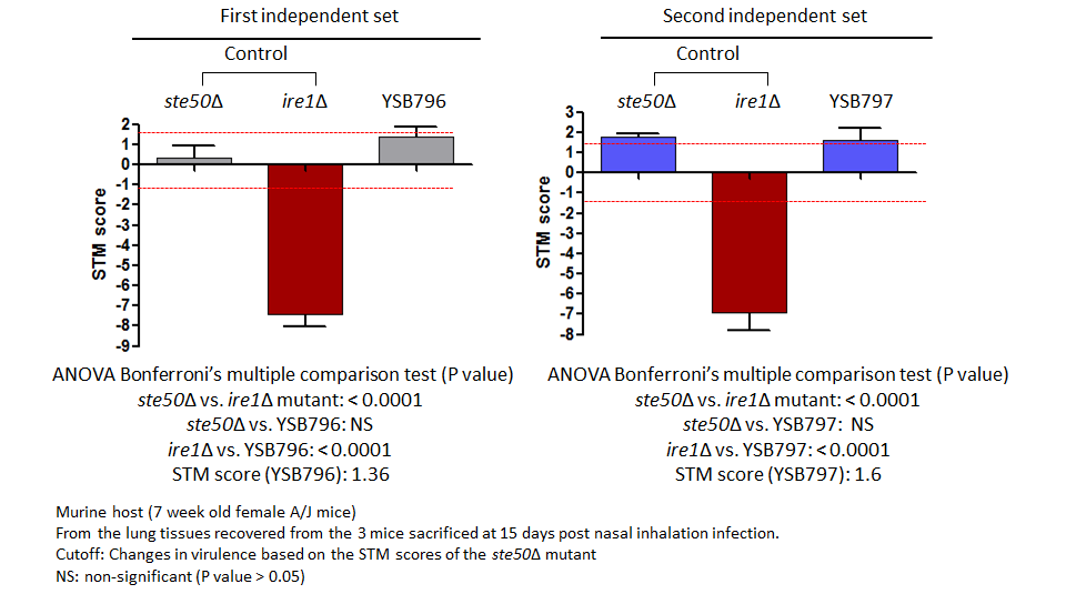 STM murine host model data for CNAG_05186T0