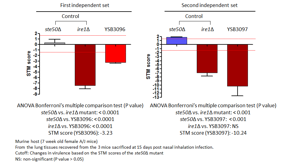 STM murine host model data for CNAG_05222T0