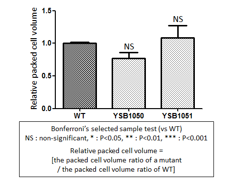 Capsule phenotype for CNAG_05255T0
