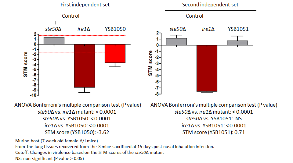 STM murine host model data for CNAG_05255T0