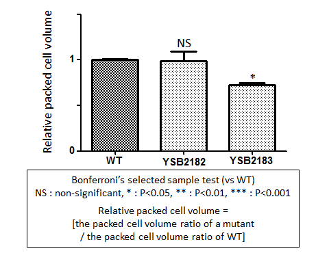 Capsule phenotype for CNAG_05380T0