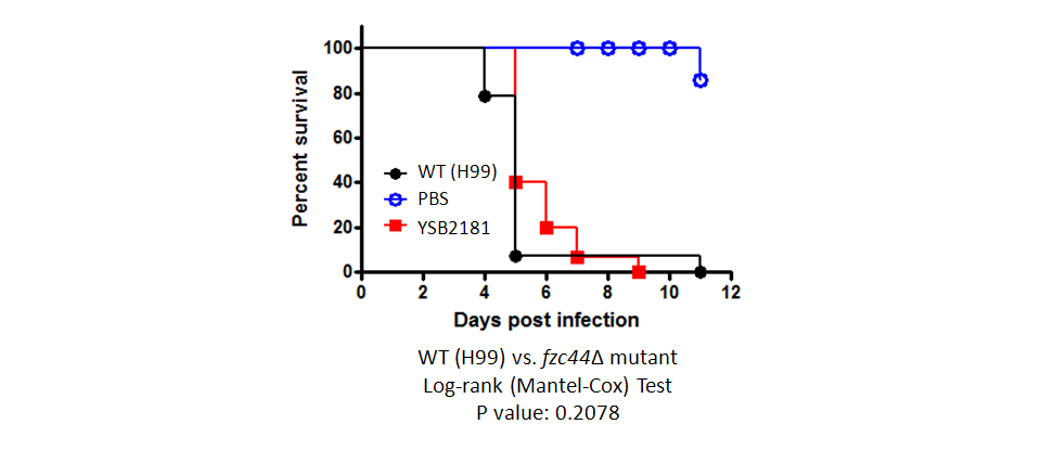 Galleria mellonella virulence data for CNAG_05380T0