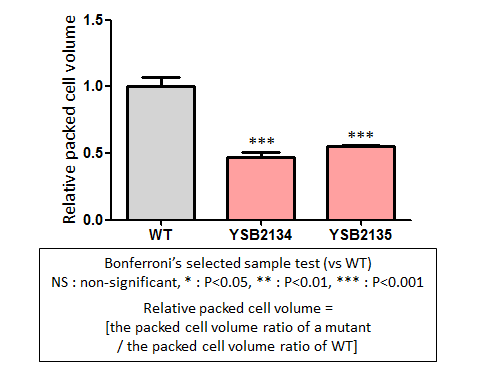 Capsule phenotype for CNAG_05392T0