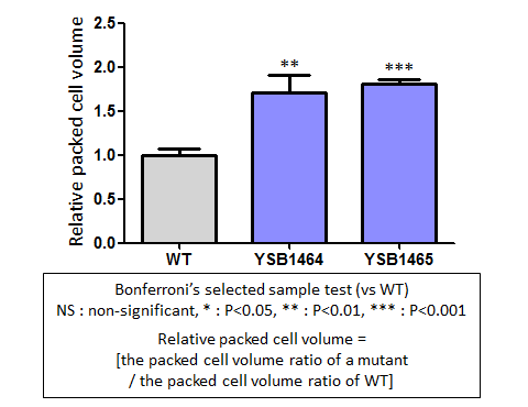 Capsule phenotype for CNAG_05420T0