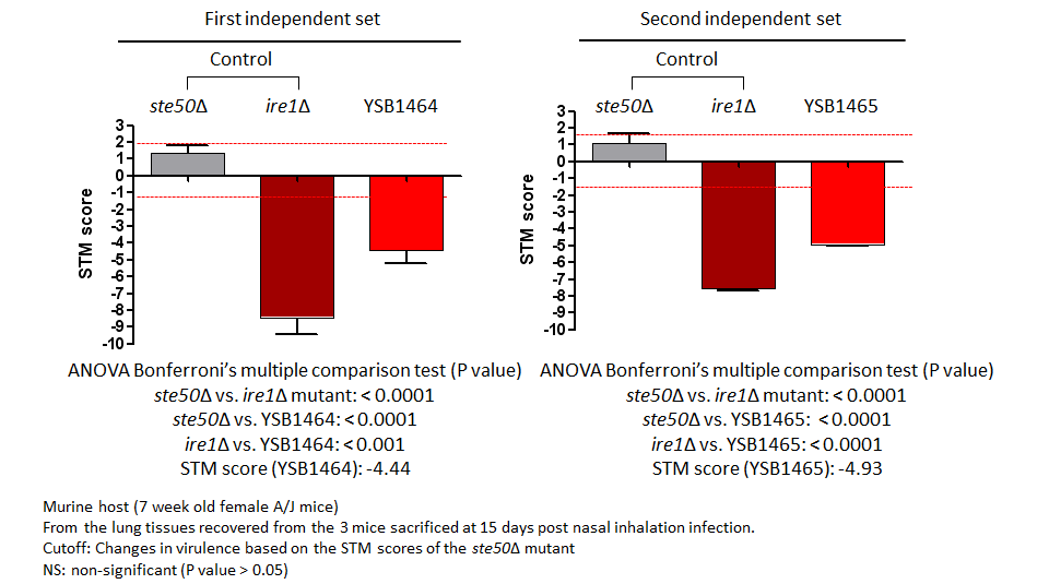 STM murine host model data for CNAG_05420T0