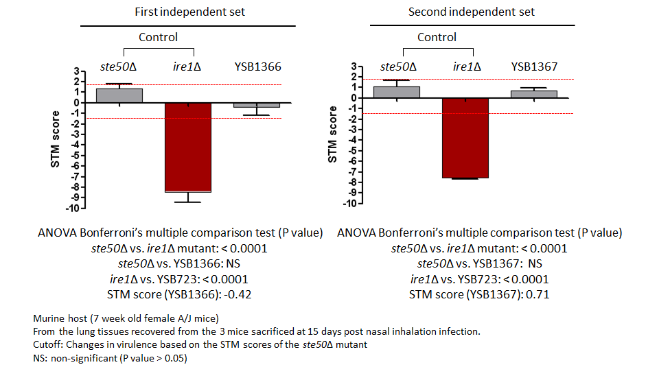 STM murine host model data for CNAG_05431T0