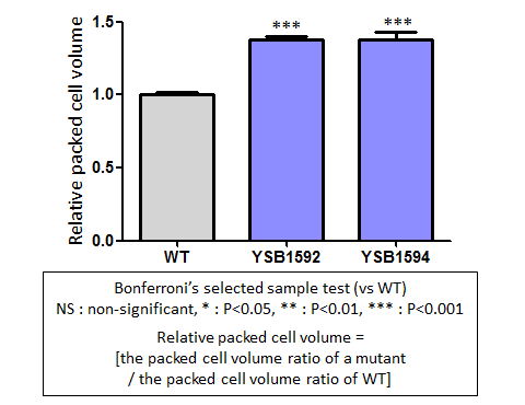 Capsule phenotype for CNAG_05538T0
