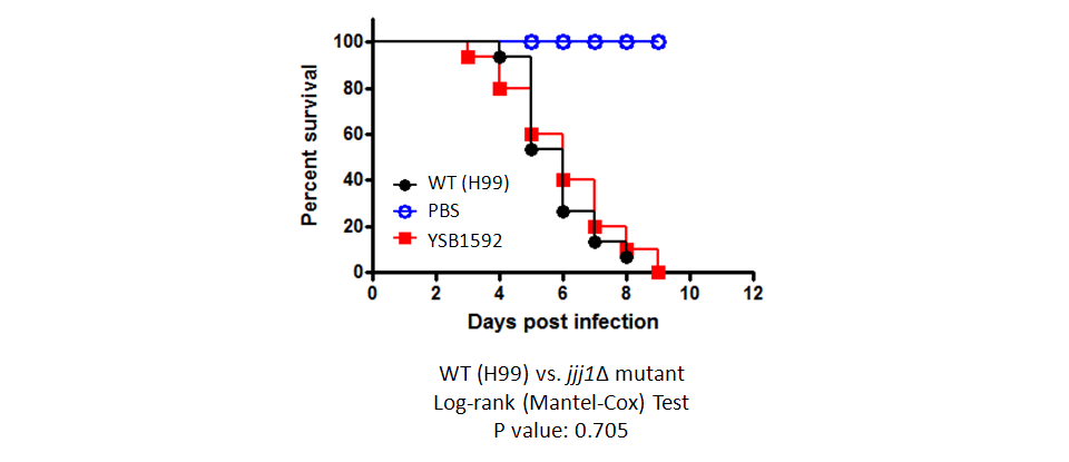 Galleria mellonella virulence data for CNAG_05538T0