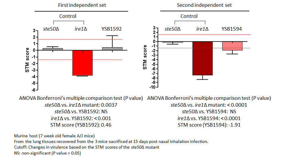 STM murine host model data for CNAG_05538T0