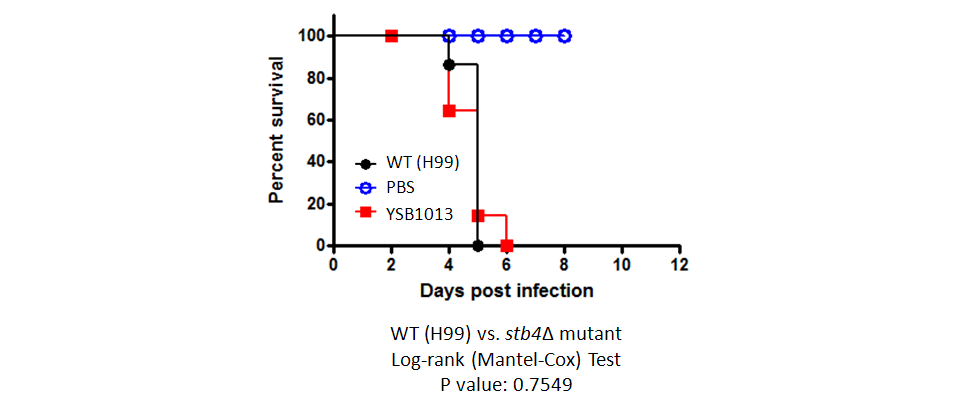 Galleria mellonella virulence data for CNAG_05785T0