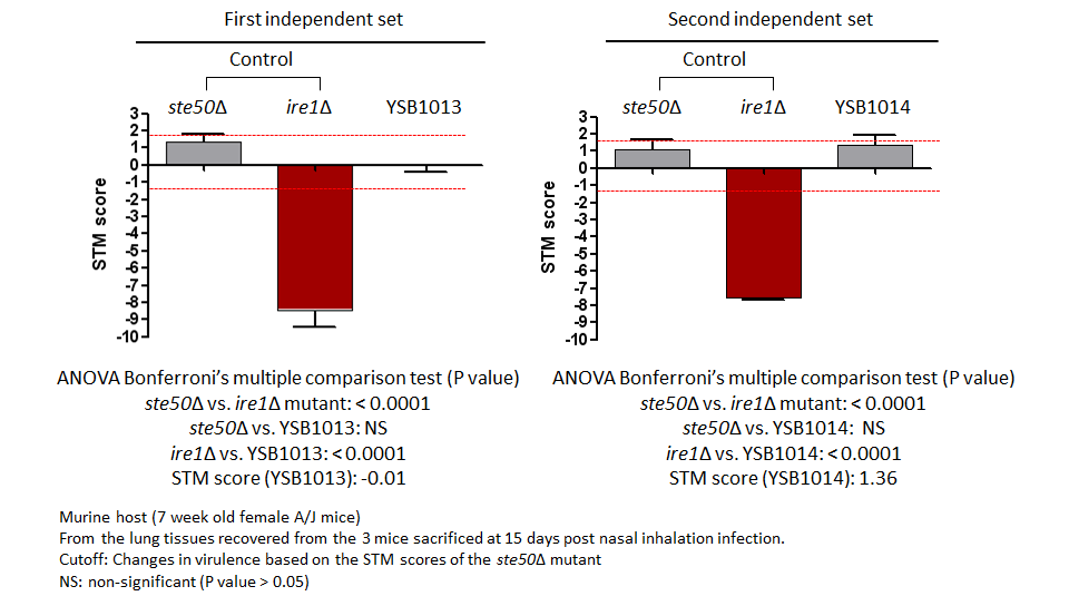 STM murine host model data for CNAG_05785T0
