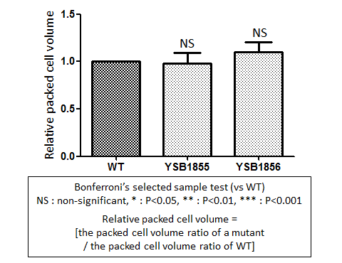 Capsule phenotype for CNAG_05861T1