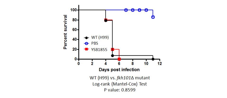 Galleria mellonella virulence data for CNAG_05861T1