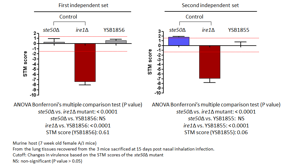 STM murine host model data for CNAG_05861T1