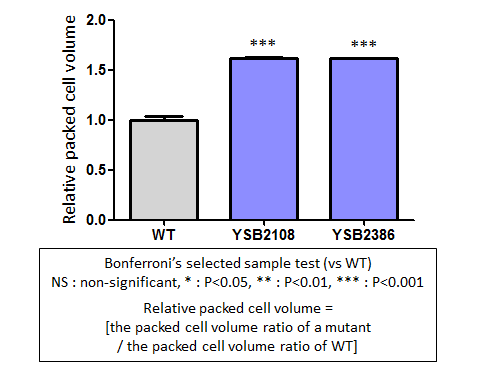 Capsule phenotype for CNAG_05940T0
