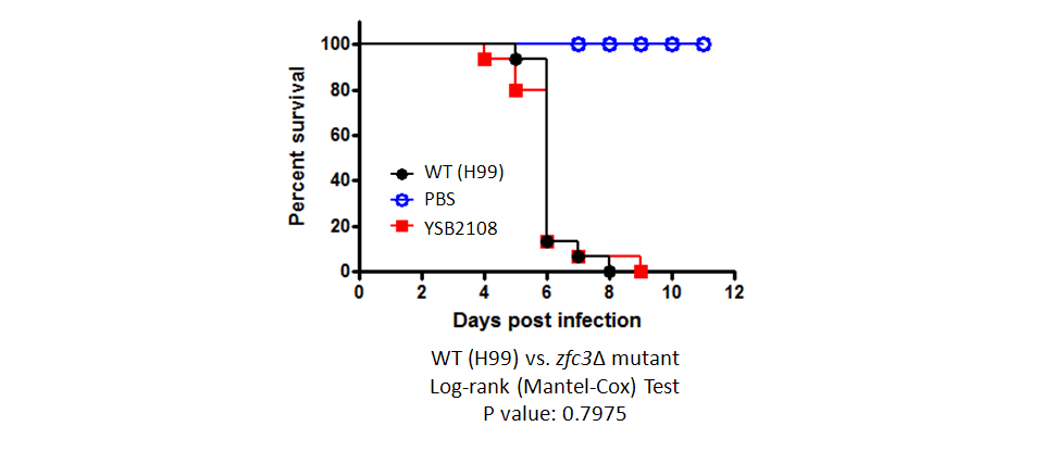 Galleria mellonella virulence data for CNAG_05940T0