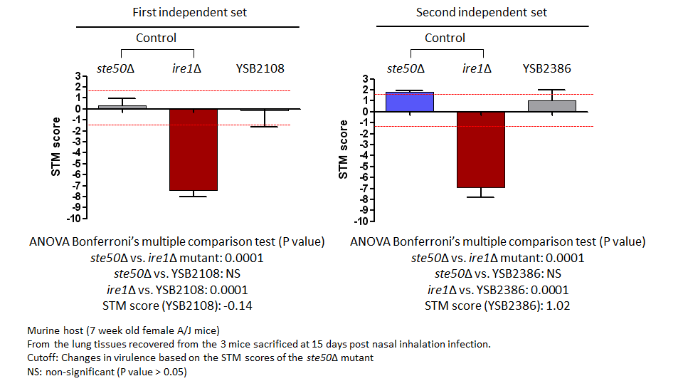 STM murine host model data for CNAG_05940T0