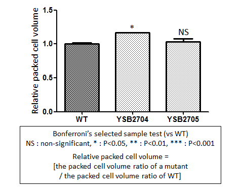 Capsule phenotype for CNAG_06156T1