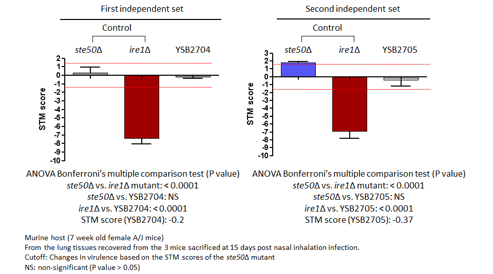 STM murine host model data for CNAG_06156T1