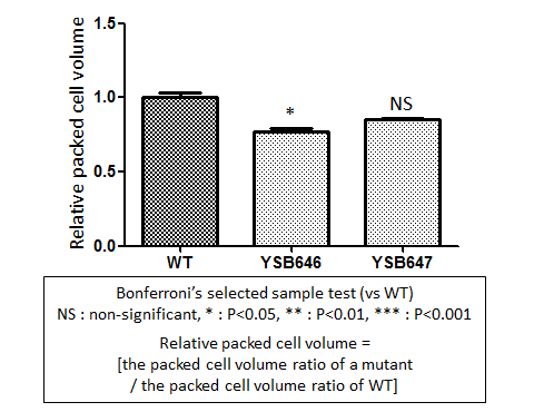 Capsule phenotype for CNAG_06188T0