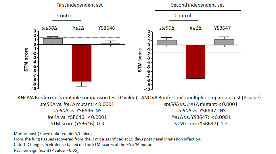 STM murine host model data for CNAG_06188T0