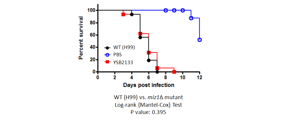 Galleria mellonella virulence data for CNAG_06223T0