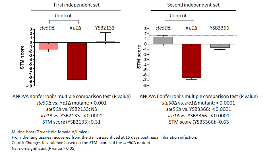 STM murine host model data for CNAG_06223T0