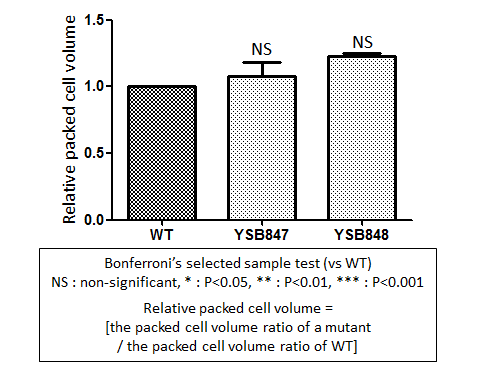 Capsule phenotype for CNAG_06276T0