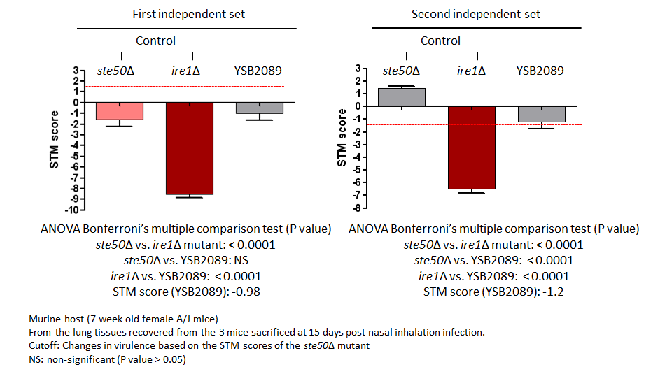 STM murine host model data for CNAG_06276T0