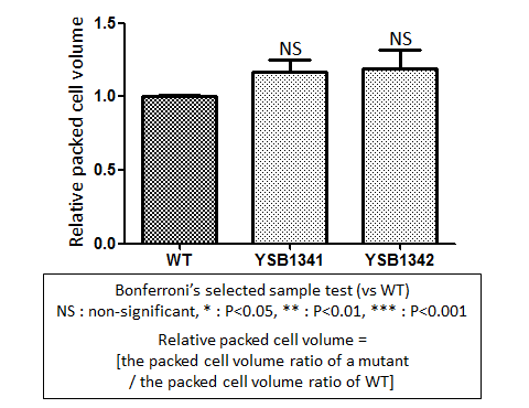 Capsule phenotype for CNAG_06339T0